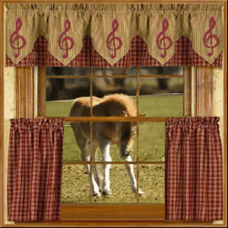 looking out window with treble clef valance is a young colt kicking up it's legs