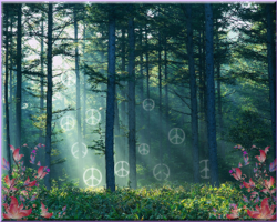 forest with transparent peace signs in rays of sun