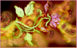 pink flower immersed in orange moving swirls with notes