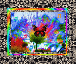 abstract flash of color garden, framed, butterfly, flowers