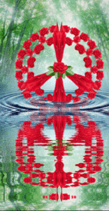 red roses peace sign dipped into water, scenic, animated water reflect