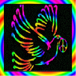rainbow animated outline of peace dove carrying peace sign