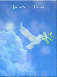 text, believe in peace, dove