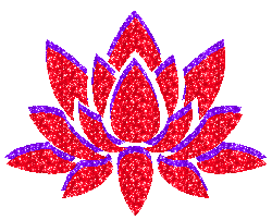 red purple lotus