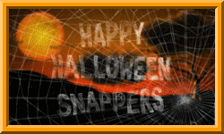spooky background with happy halloween, spider web